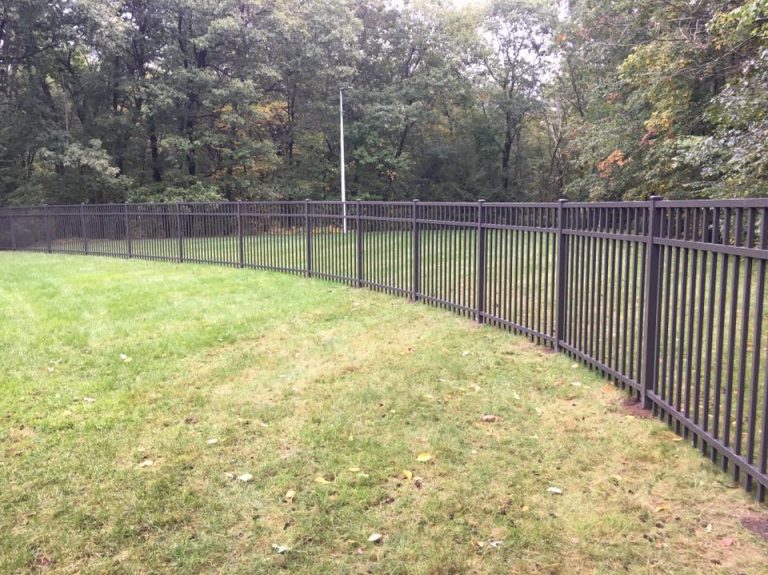 Wrought iron fence 2